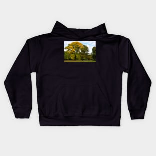 Nouvelle Zélande - Christchurch Kids Hoodie